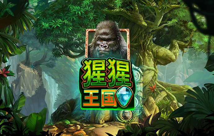 澳门新莆京app官网